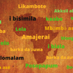 Why we need to protect local languages