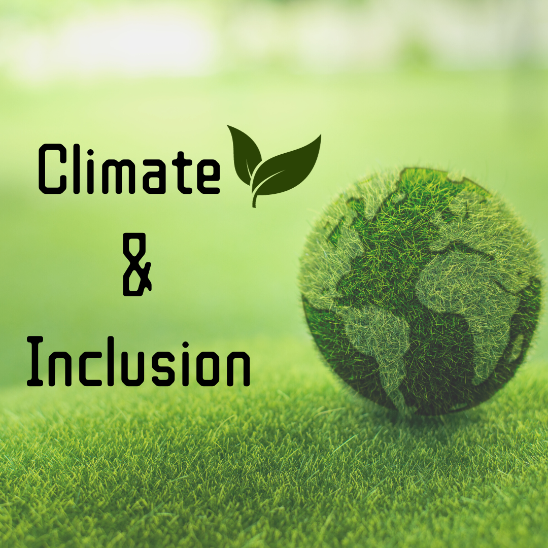 The climate crisis and disability: issues and approaches to solutions